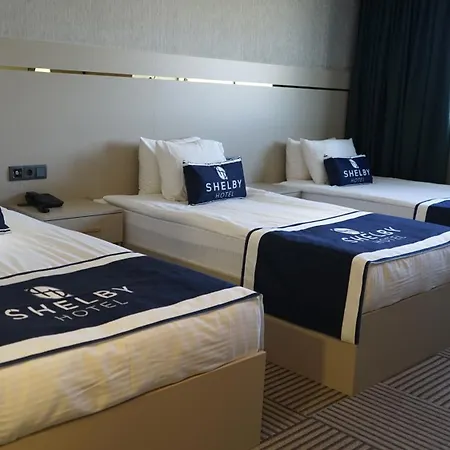 فندق Shelby