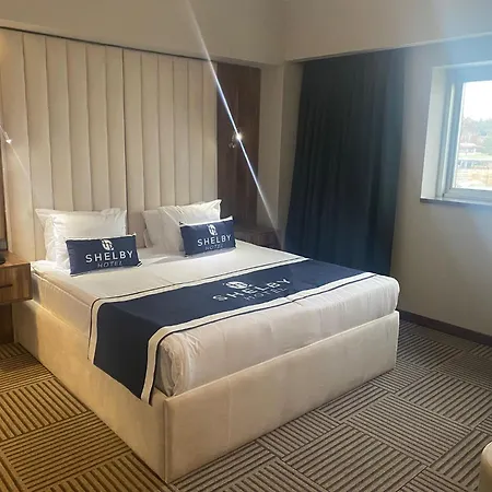 Shelby Hotel Kayseri