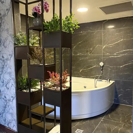 Shelby Hotel 4*