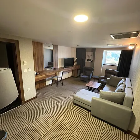 Shelby Hotel 4*