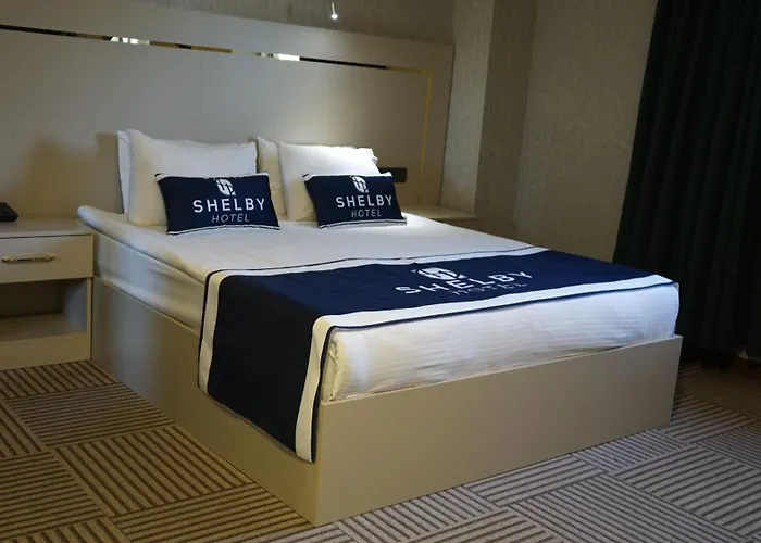 Shelby Hotel 4*