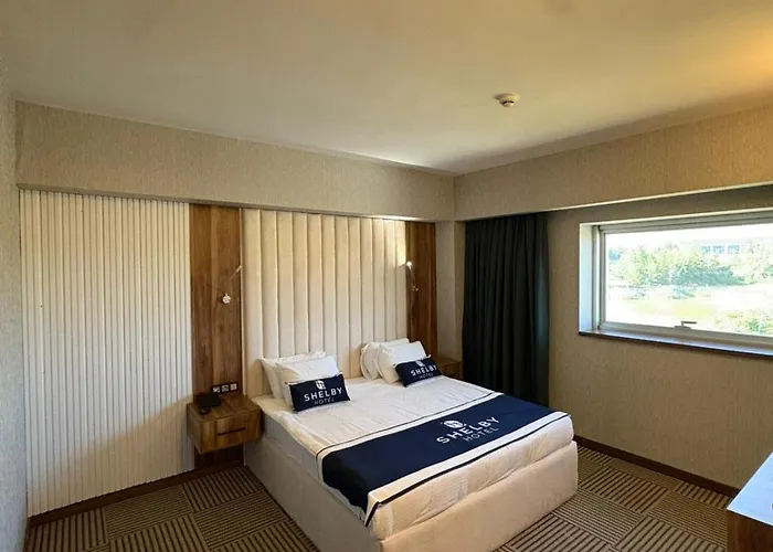 Shelby Hotel 4*